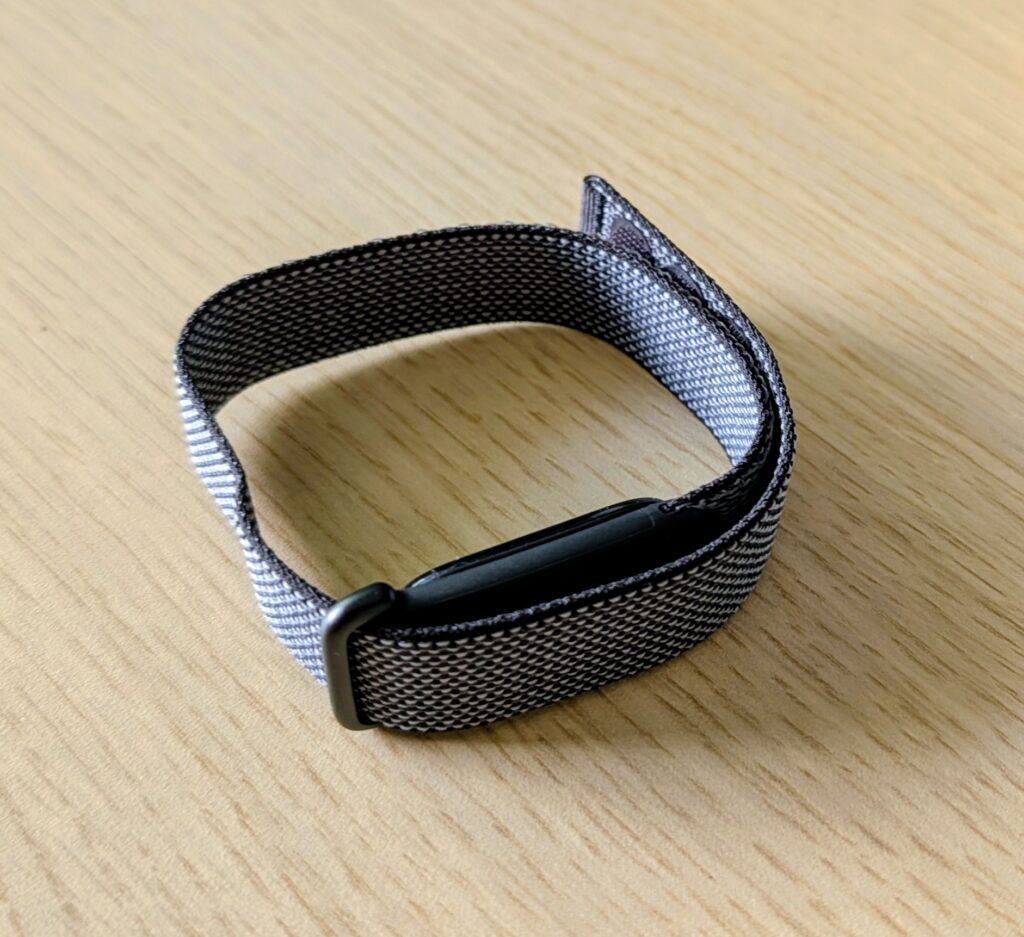 Das Google Fitbit Air